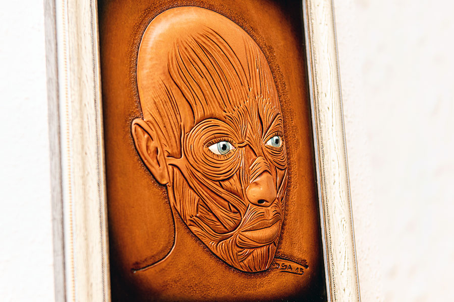 Kunstwerk aus Leder, welches die Muskeln des menschlichen Gesichts zeigt